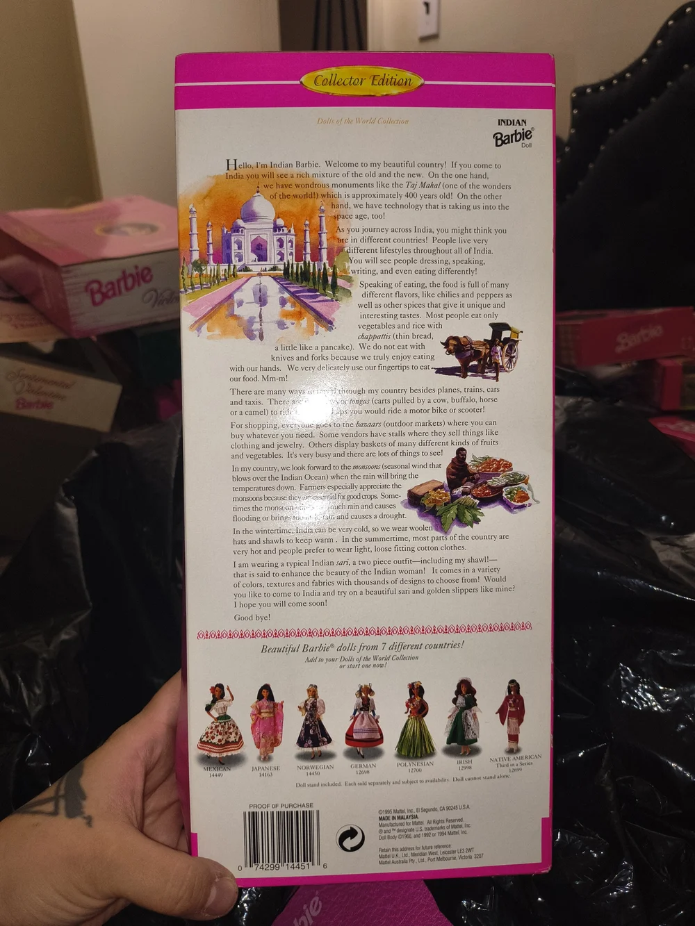 Barbie Indian Doll in Fuchsia and Gold Collector Edition